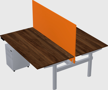 Shared electric desk