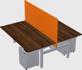 Shared electric desk