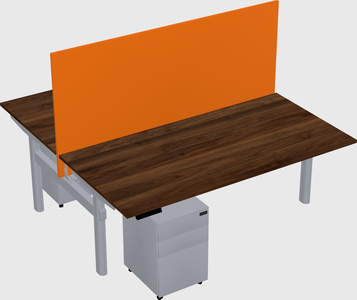 Shared electric desk