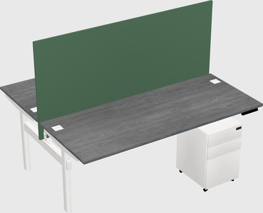 Shared electric desk