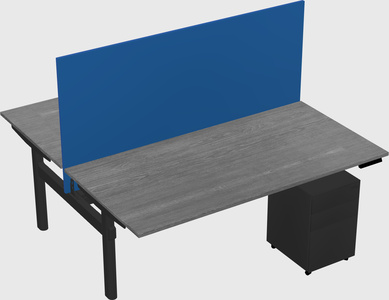 Shared electric desk