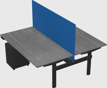 Shared electric desk