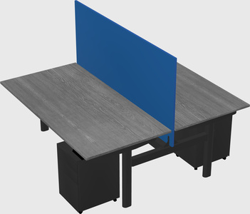 Shared electric desk