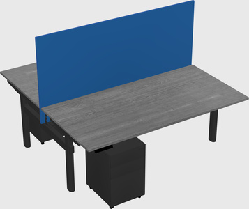 Shared electric desk