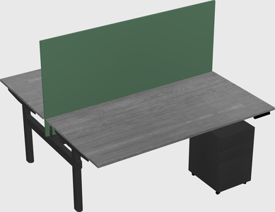 Shared electric desk