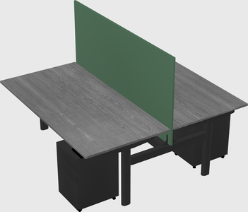 Shared electric desk