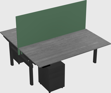 Shared electric desk