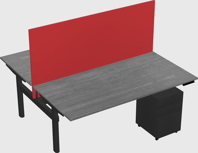 Shared electric desk