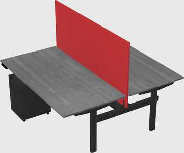 Shared electric desk