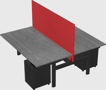 Shared electric desk
