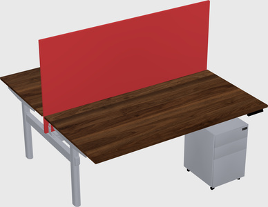 Shared electric desk