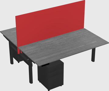 Shared electric desk