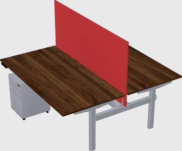 Shared electric desk