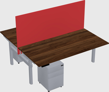 Shared electric desk