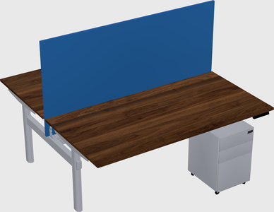 Shared electric desk