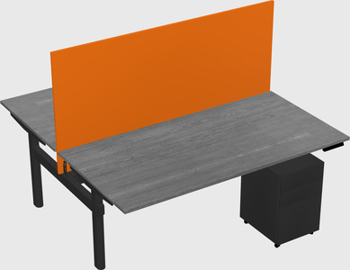 Shared electric desk