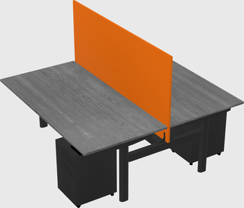Shared electric desk