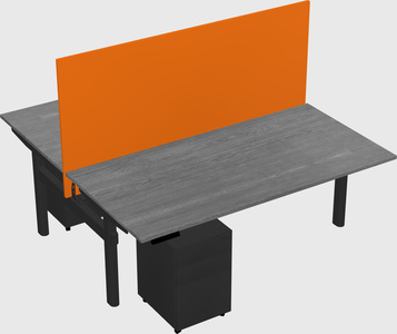 Shared electric desk