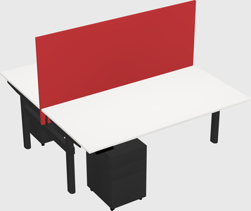 Shared electric desk