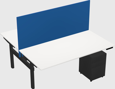Shared electric desk