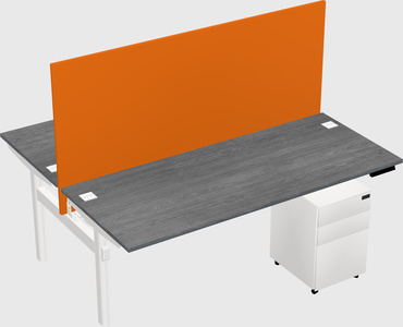 Shared electric desk