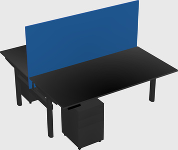Shared electric desk