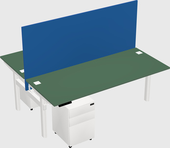 Shared electric desk