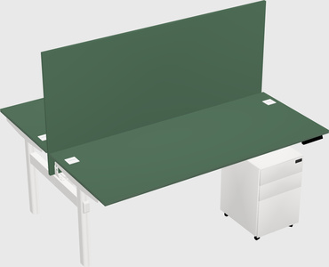 Shared electric desk