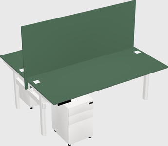 Shared electric desk