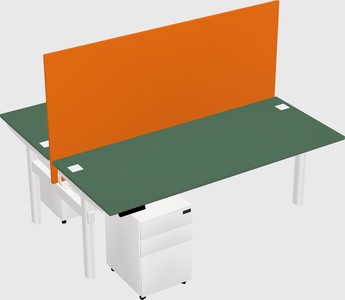 Shared electric desk