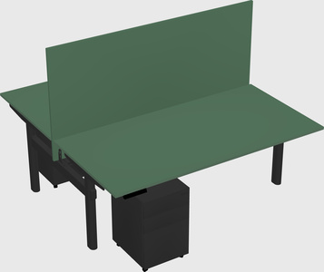 Shared electric desk