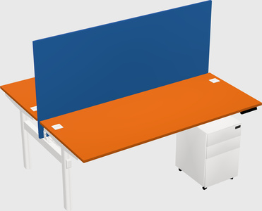 Shared electric desk