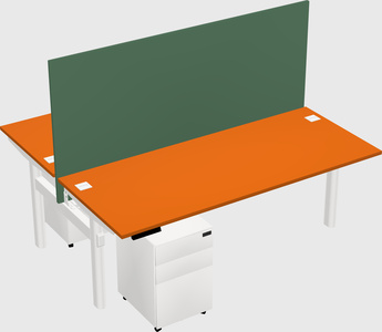 Shared electric desk