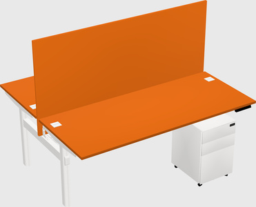 Shared electric desk