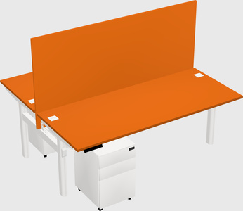 Shared electric desk