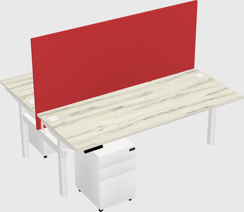 Shared electric desk
