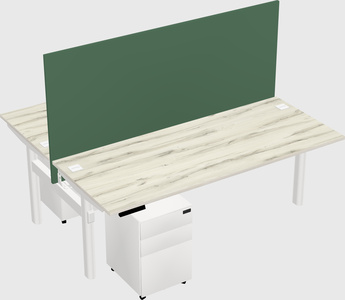 Shared electric desk