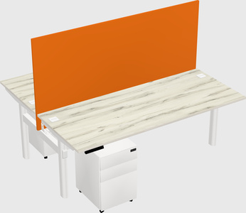Shared electric desk