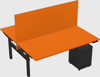 Shared electric desk