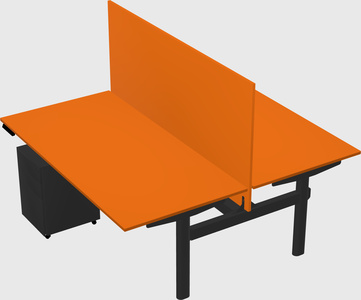 Shared electric desk
