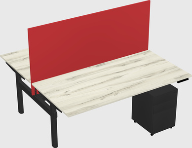 Shared electric desk