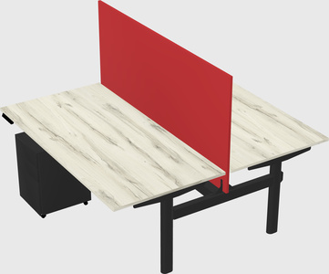 Shared electric desk