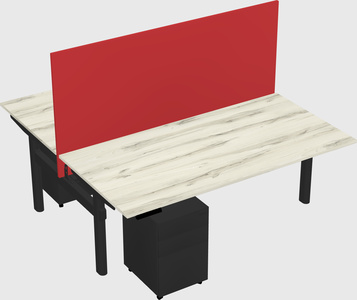Shared electric desk