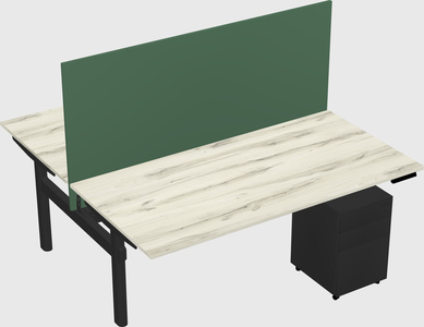 Shared electric desk