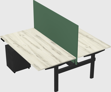 Shared electric desk
