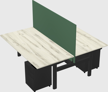 Shared electric desk