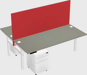 Shared electric desk