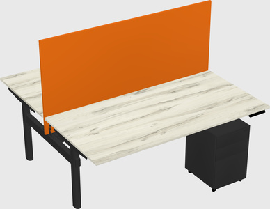 Shared electric desk