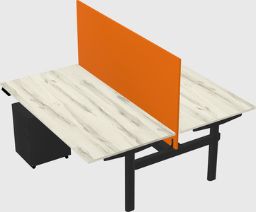 Shared electric desk