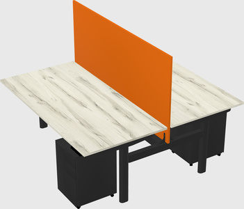 Shared electric desk